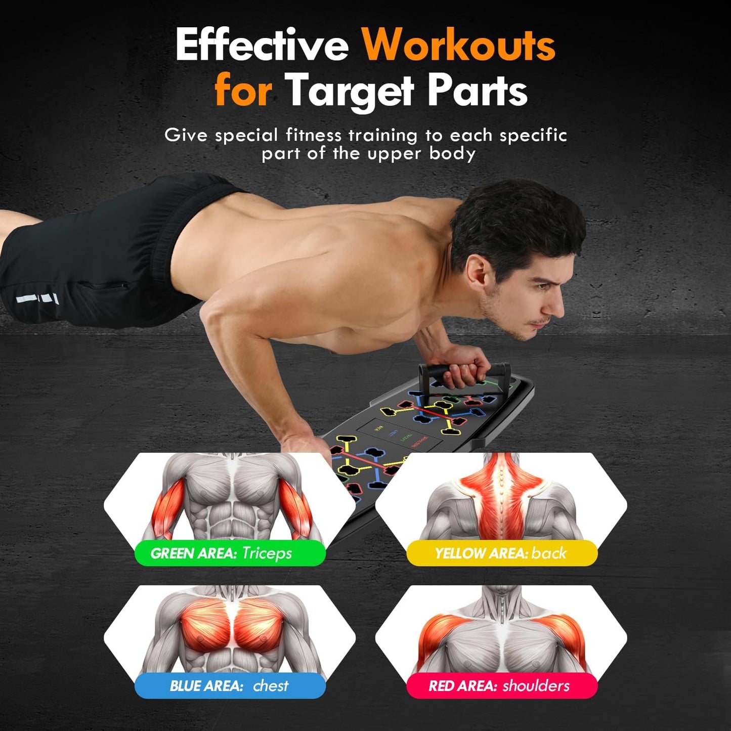 Push Up Board Home Gym Set – Portable Exercise Equipment with Pilates Bar, Resistance Bands, Ab Roller & 20 Fitness Accessories for Full Body Workouts