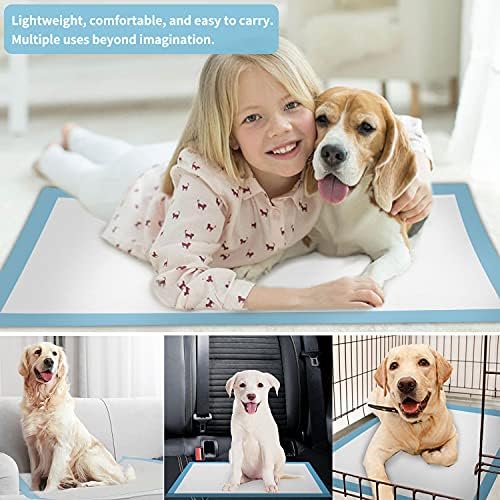 Leak-Proof Dog Training Pads_ 100 counts