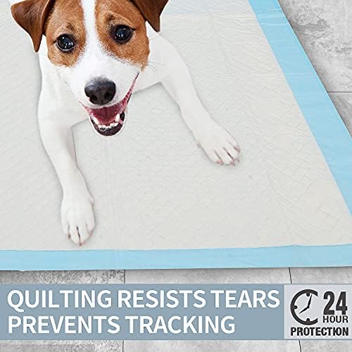 Leak-Proof Dog Training Pads_ 100 counts