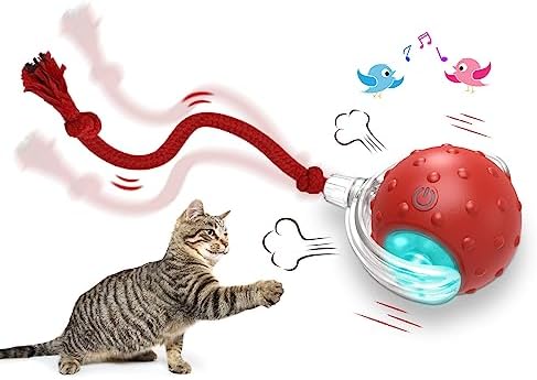 Indoor Cat Exercise Toy