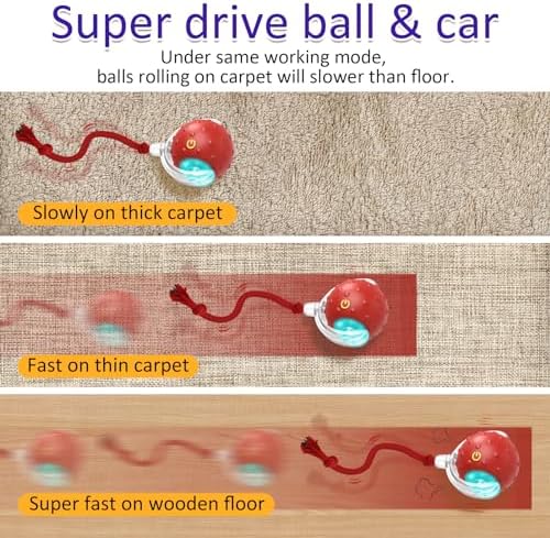 Indoor Cat Exercise Toy