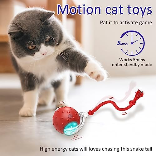 Indoor Cat Exercise Toy