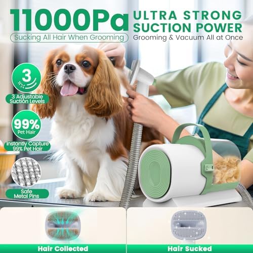 Pet Grooming Vacuum, 2.5L Dust Cup 7 Grooming Tool_ PG50 Plus