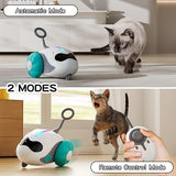 Interactive Cat Joystick Toy