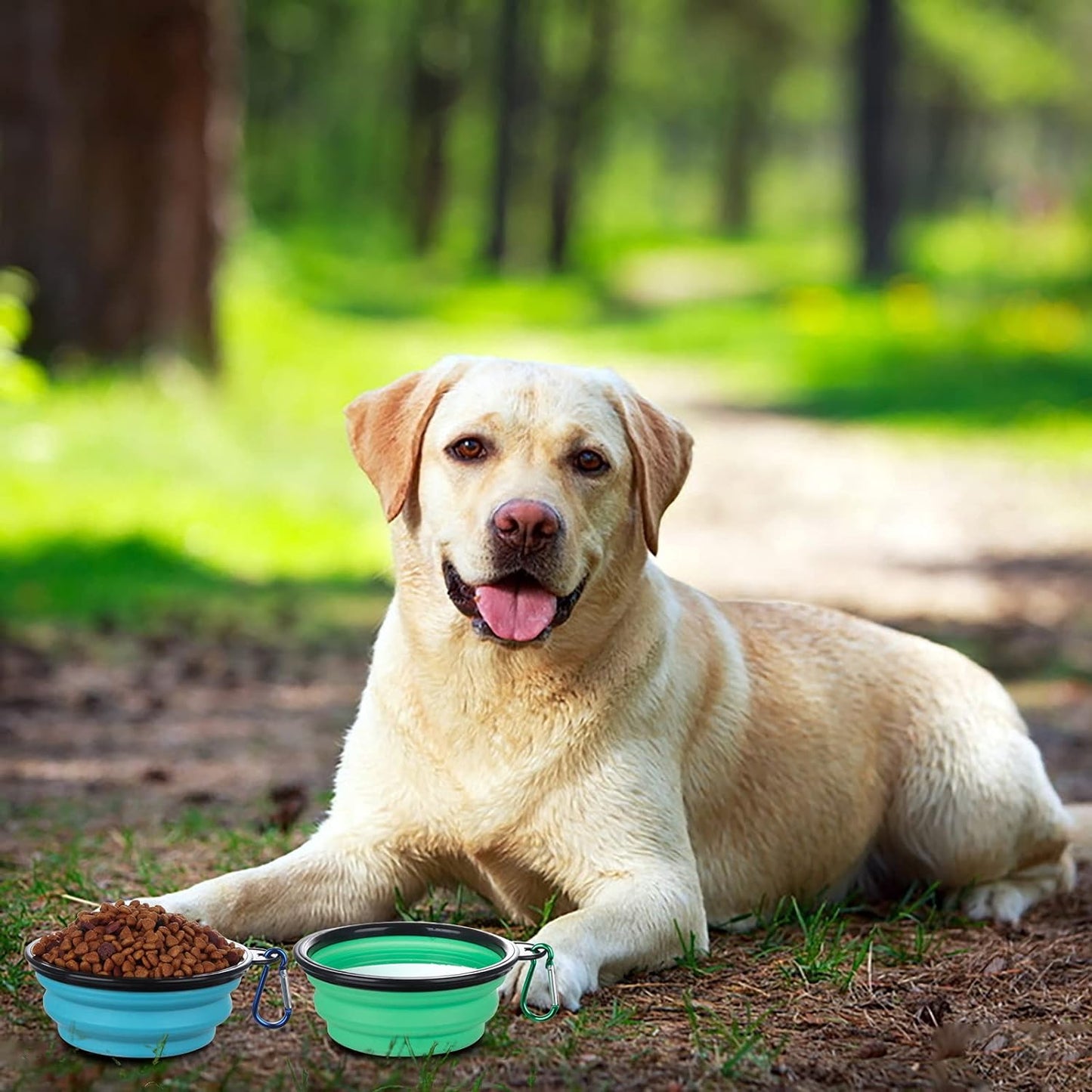 Portable Collapsible Pet Bowls