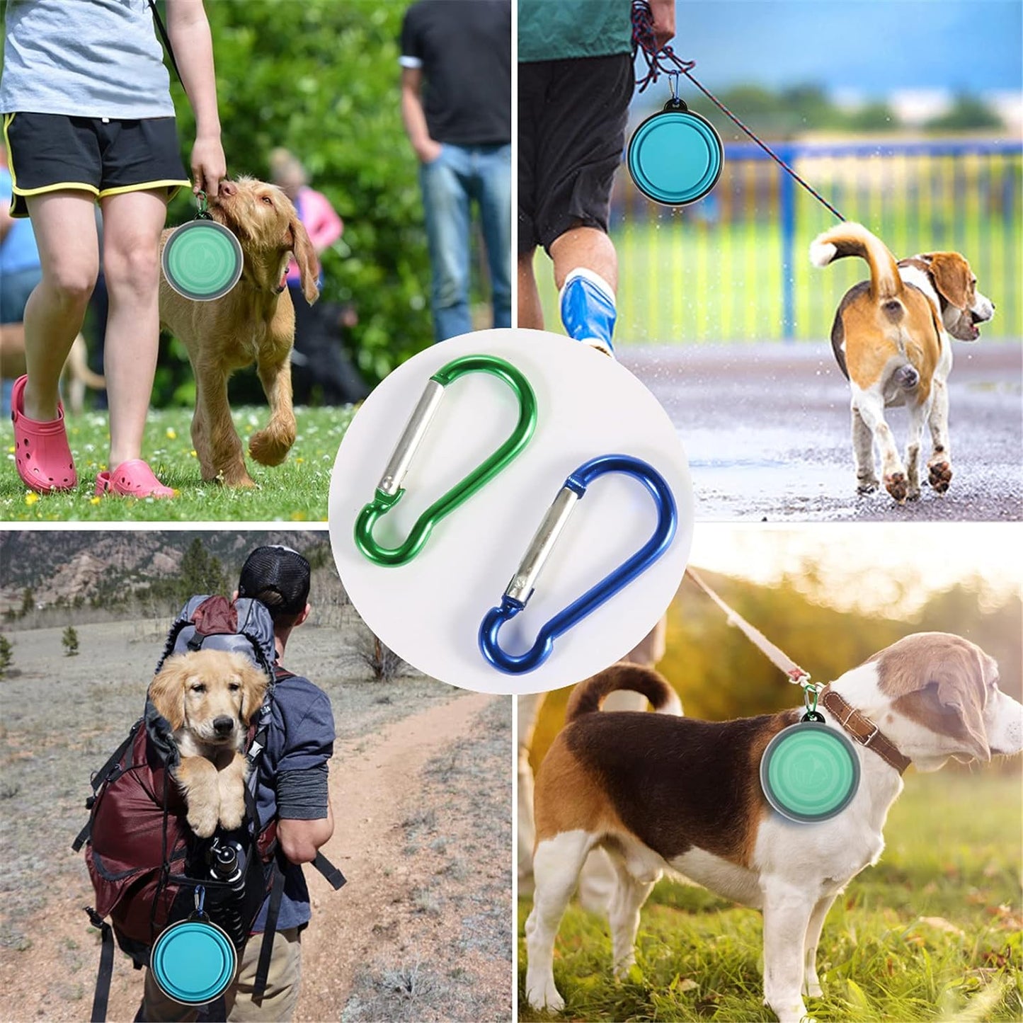 Portable Collapsible Pet Bowls