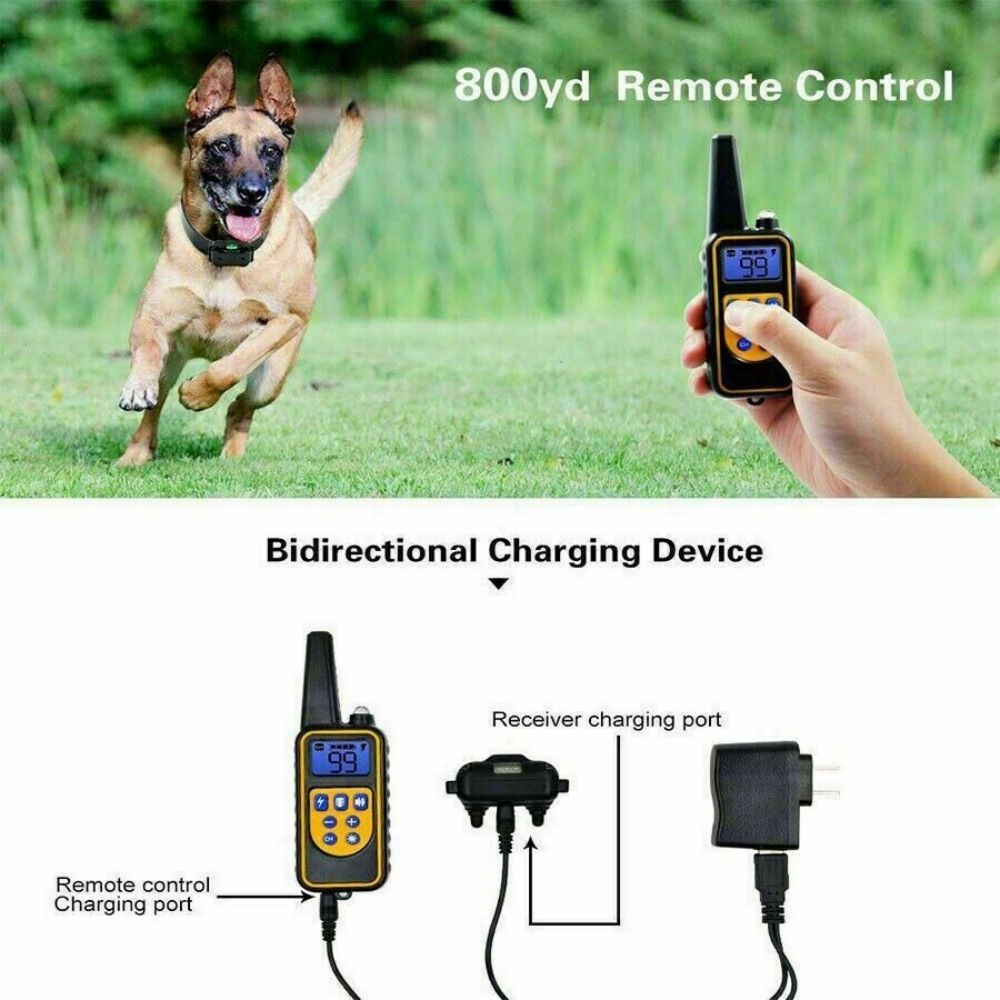 Dog Shock Training Collar Rechargeable Remote Control Waterproof IP67 875 Yards